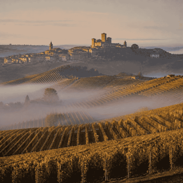 Piedmont vineyards and food and wine travel in Italy